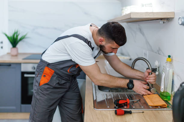 Best Local Plumber Services  in Stanley, ND